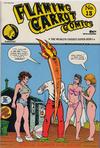 Cover for Flaming Carrot Comics (Renegade Press, 1985 series) #13
