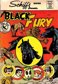 Cover Thumbnail for Black Fury (Charlton, 1959 series) #14