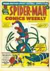 Cover for Spider-Man Comics Weekly (Marvel UK, 1973 series) #19