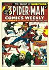 Cover for Spider-Man Comics Weekly (Marvel UK, 1973 series) #21
