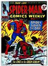 Cover for Spider-Man Comics Weekly (Marvel UK, 1973 series) #34