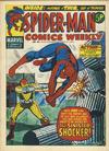 Cover for Spider-Man Comics Weekly (Marvel UK, 1973 series) #40