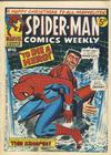 Cover for Spider-Man Comics Weekly (Marvel UK, 1973 series) #46