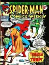 Cover for Spider-Man Comics Weekly (Marvel UK, 1973 series) #48