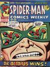 Cover for Spider-Man Comics Weekly (Marvel UK, 1973 series) #49