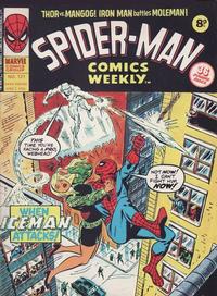 Cover Thumbnail for Spider-Man Comics Weekly (Marvel UK, 1973 series) #121