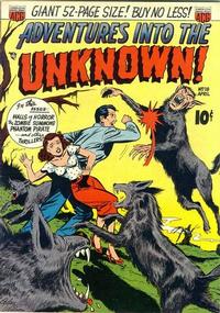 Cover for Adventures into the Unknown (American Comics Group, 1948 series) #18