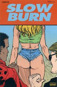 Cover Thumbnail for Slow Burn (Fantagraphics, 1995 series) #1