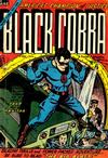 Cover for Black Cobra (Farrell, 1954 series) #6 [2]