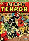 Cover for The Black Terror (Pines, 1942 series) #2