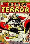 Cover for The Black Terror (Pines, 1942 series) #6