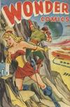 Cover for Wonder Comics (Pines, 1944 series) #19
