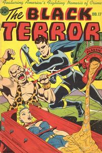 Cover for The Black Terror (Pines, 1942 series) #17