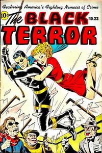 Cover Thumbnail for The Black Terror (Pines, 1942 series) #23