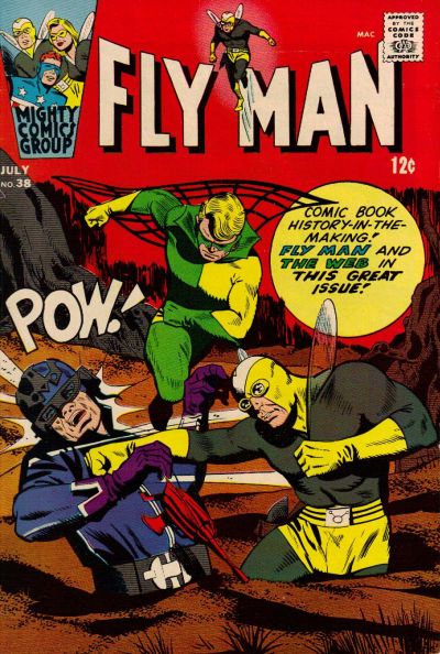 Cover for Fly Man (Archie, 1965 series) #38