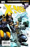Cover Thumbnail for X-Men (2004 series) #200 [Bachalo Cover]