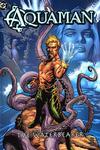 Cover for Aquaman: The Waterbearer (DC, 2003 series) [First Printing]