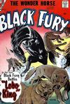 Cover for Black Fury (Charlton, 1955 series) #11