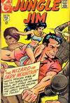 Cover for Jungle Jim (Charlton, 1969 series) #22