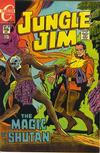 Cover for Jungle Jim (Charlton, 1969 series) #28