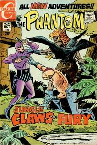 Cover Thumbnail for The Phantom (Charlton, 1969 series) #46
