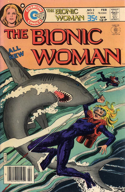 Cover for The Bionic Woman (Charlton, 1977 series) #2