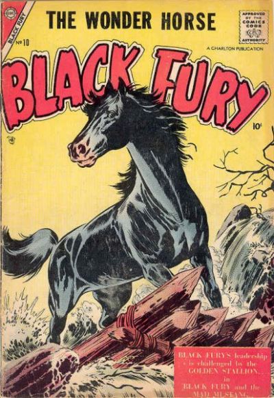 Cover for Black Fury (Charlton, 1955 series) #10