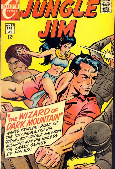 Cover for Jungle Jim (Charlton, 1969 series) #22