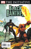 Cover for Black Panther (Marvel, 2005 series) #28
