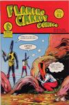 Cover for Flaming Carrot Comics (Dark Horse, 1988 series) #21