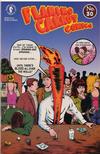 Cover for Flaming Carrot Comics (Dark Horse, 1988 series) #30