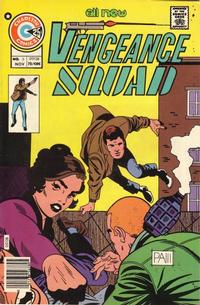 Cover Thumbnail for Vengeance Squad (Charlton, 1975 series) #3