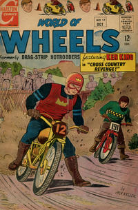 Cover Thumbnail for World of Wheels (Charlton, 1967 series) #17
