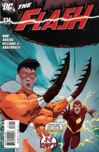 Cover Thumbnail for The Flash (DC, 2007 series) #234 [Direct Sales]