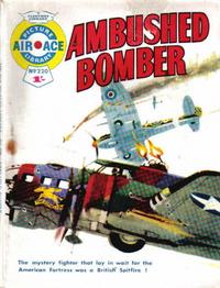 Cover for Air Ace Picture Library (IPC, 1960 series) #220