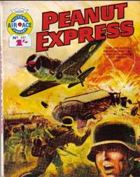 Cover for Air Ace Picture Library (IPC, 1960 series) #401