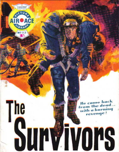 Cover for Air Ace Picture Library (IPC, 1960 series) #113