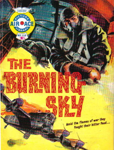 Cover for Air Ace Picture Library (IPC, 1960 series) #116