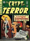 Cover for The Crypt of Terror (EC, 1950 series) #17
