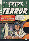Cover for The Crypt of Terror (EC, 1950 series) #19
