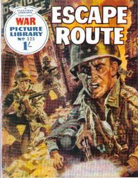 Cover Thumbnail for War Picture Library (IPC, 1958 series) #325