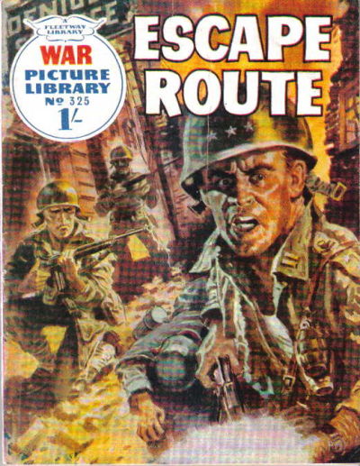 Cover for War Picture Library (IPC, 1958 series) #325