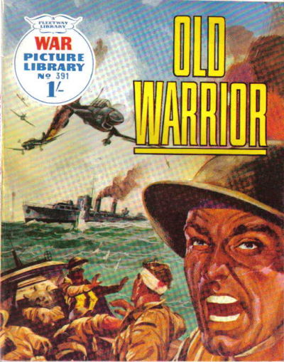 Cover for War Picture Library (IPC, 1958 series) #391
