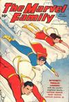 Cover for The Marvel Family (Fawcett, 1945 series) #17