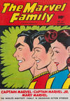 Cover for The Marvel Family (Fawcett, 1945 series) #18