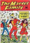 Cover for The Marvel Family (Fawcett, 1945 series) #29