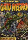 Cover for Misterios del Gato Negro (Editora de Periódicos, S. C. L. "La Prensa", 1953 series) #22