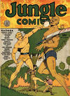 Cover for Jungle Comics (Fiction House, 1940 series) #13