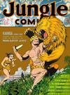 Cover for Jungle Comics (Fiction House, 1940 series) #23