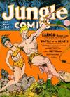 Cover for Jungle Comics (Fiction House, 1940 series) #24